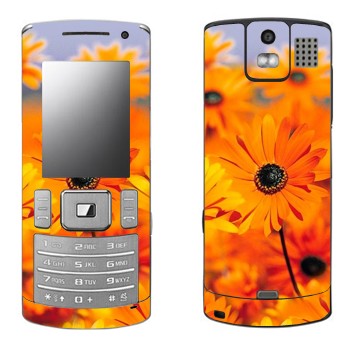   «  »   Samsung U800 Soul