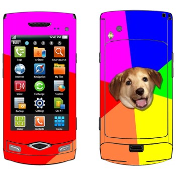   «Advice Dog»   Samsung Wave S8500