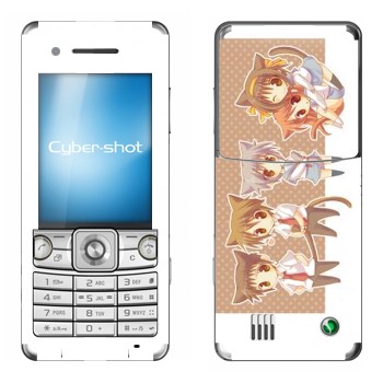 Sony Ericsson C510