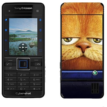 Sony Ericsson C902