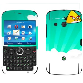   « - Angry Birds»   Sony Ericsson CK13 Txt