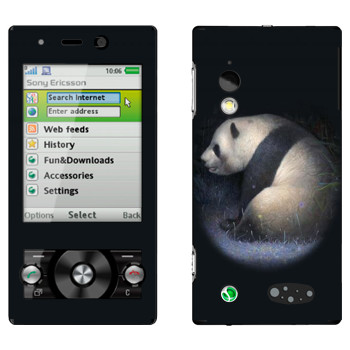   «»   Sony Ericsson G705