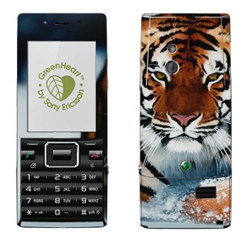 Sony Ericsson J10 Elm