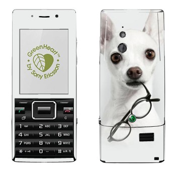 Sony Ericsson J10 Elm