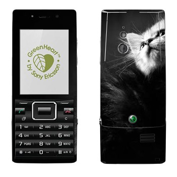   « -»   Sony Ericsson J10 Elm