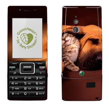 Sony Ericsson J10 Elm