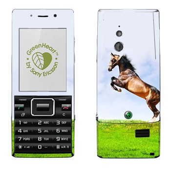 Sony Ericsson J10 Elm