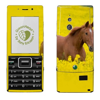   «  »   Sony Ericsson J10 Elm