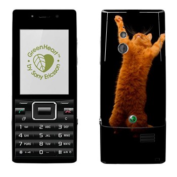 Sony Ericsson J10 Elm