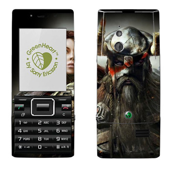   «Neverwinter »   Sony Ericsson J10 Elm