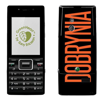   «Dobrynia»   Sony Ericsson J10 Elm