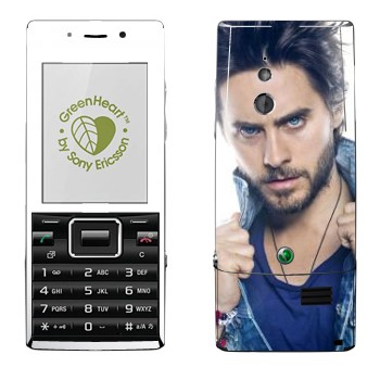 Sony Ericsson J10 Elm