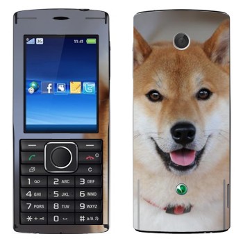   «- »   Sony Ericsson J108 Cedar