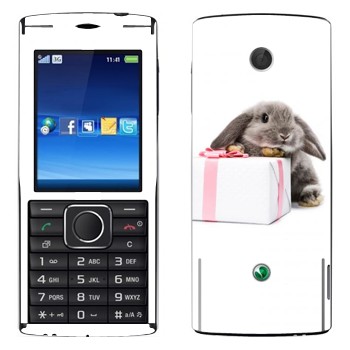   «  »   Sony Ericsson J108 Cedar