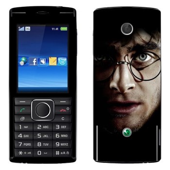   «Harry Potter»   Sony Ericsson J108 Cedar