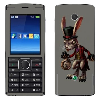   «  -  : »   Sony Ericsson J108 Cedar