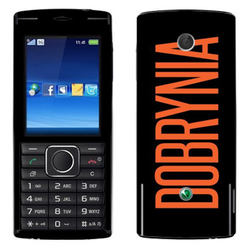   «Dobrynia»   Sony Ericsson J108 Cedar