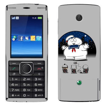   «   -  »   Sony Ericsson J108 Cedar