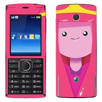   «  - Adventure Time»   Sony Ericsson J108 Cedar