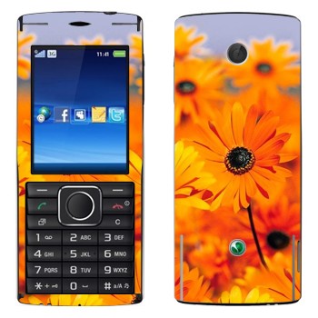   «  »   Sony Ericsson J108 Cedar