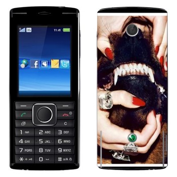 Sony Ericsson J108 Cedar
