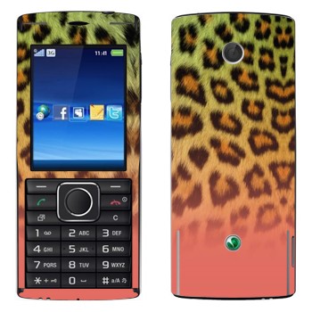   «  -»   Sony Ericsson J108 Cedar
