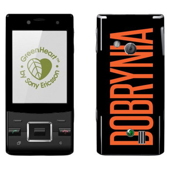   «Dobrynia»   Sony Ericsson J20 Hazel