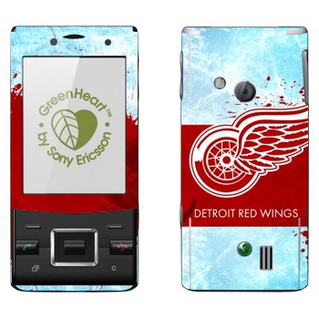   «Detroit red wings»   Sony Ericsson J20 Hazel