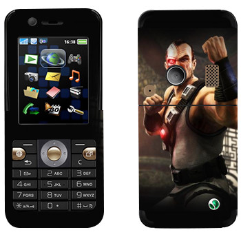 Sony Ericsson K530i