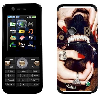   «Givenchy  »   Sony Ericsson K530i