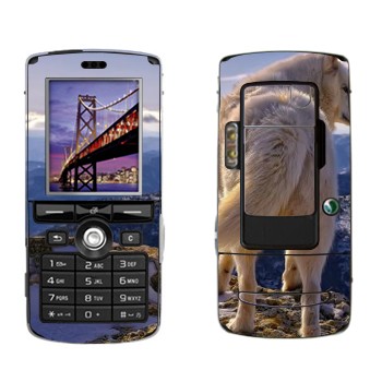 Sony Ericsson K750i