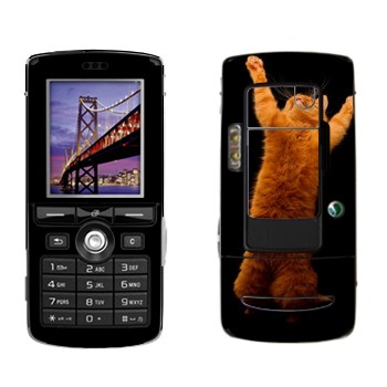   «     »   Sony Ericsson K750i