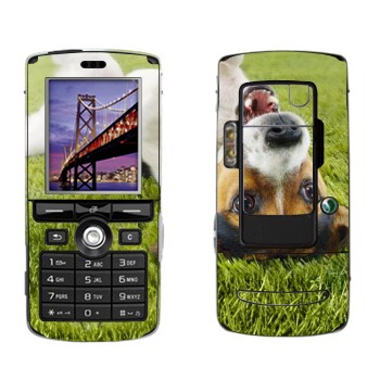   «   »   Sony Ericsson K750i