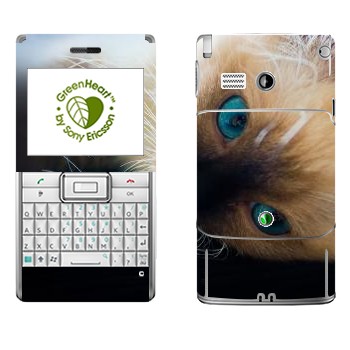 Sony Ericsson M1 Aspen