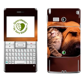   «  »   Sony Ericsson M1 Aspen