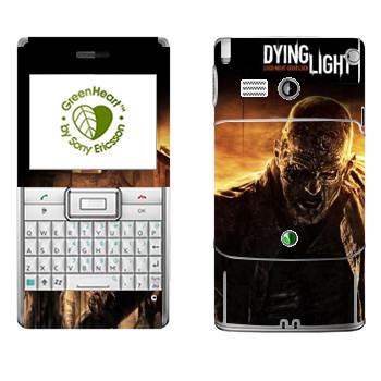   «Dying Light »   Sony Ericsson M1 Aspen