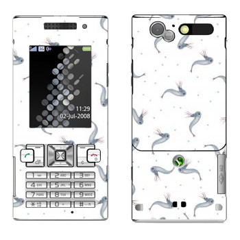   « - Kisung»   Sony Ericsson T700