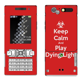   «Keep calm and Play Dying Light»   Sony Ericsson T700