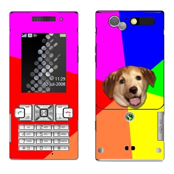   «Advice Dog»   Sony Ericsson T700