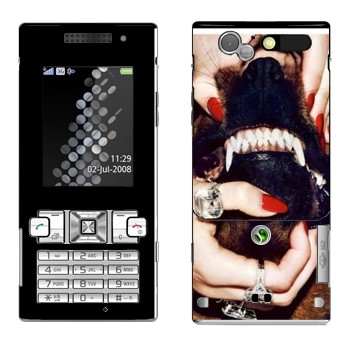   «Givenchy  »   Sony Ericsson T700