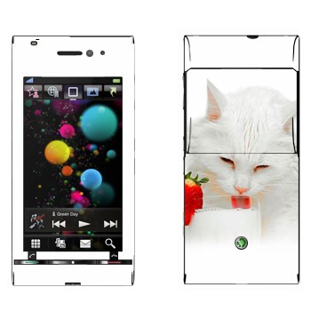   «   »   Sony Ericsson U1 Satio