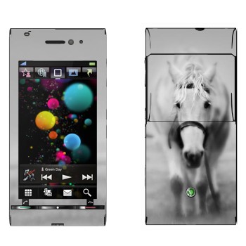 Sony Ericsson U1 Satio