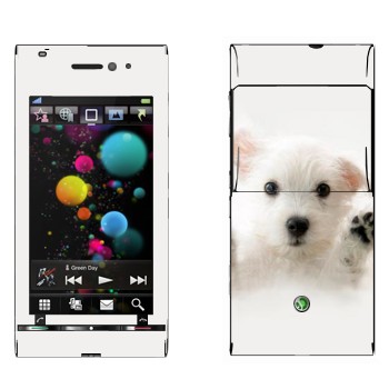   « »   Sony Ericsson U1 Satio