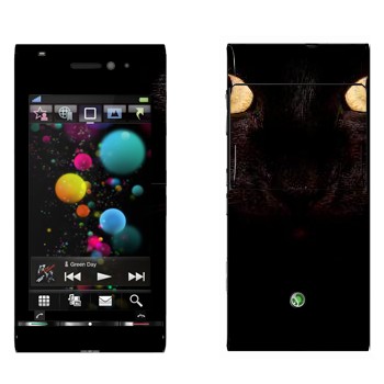 Sony Ericsson U1 Satio