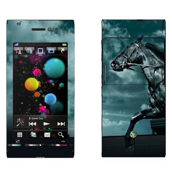   «   »   Sony Ericsson U1 Satio