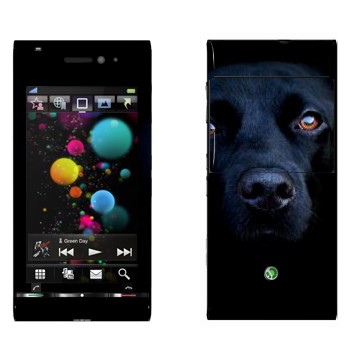 Sony Ericsson U1 Satio