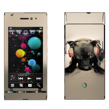 Sony Ericsson U1 Satio