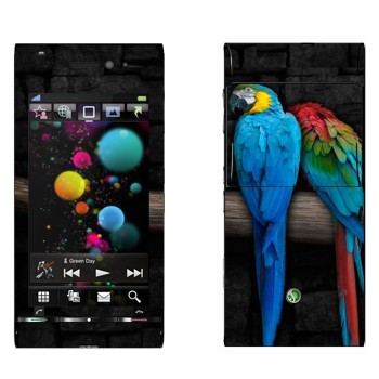   «  »   Sony Ericsson U1 Satio