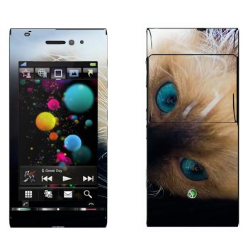   « »   Sony Ericsson U1 Satio