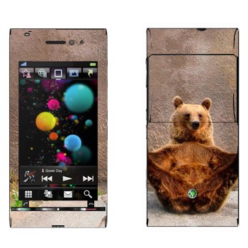   «  »   Sony Ericsson U1 Satio